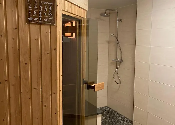 Schoene Dachwohnung Mit 2 Schlafzimmern Im Zentrum Von - Erzgebirge Apartament Schwarzenberg (Saxony)